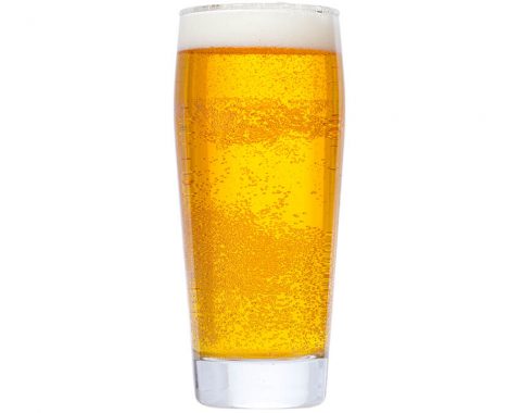 Czech Pilsner